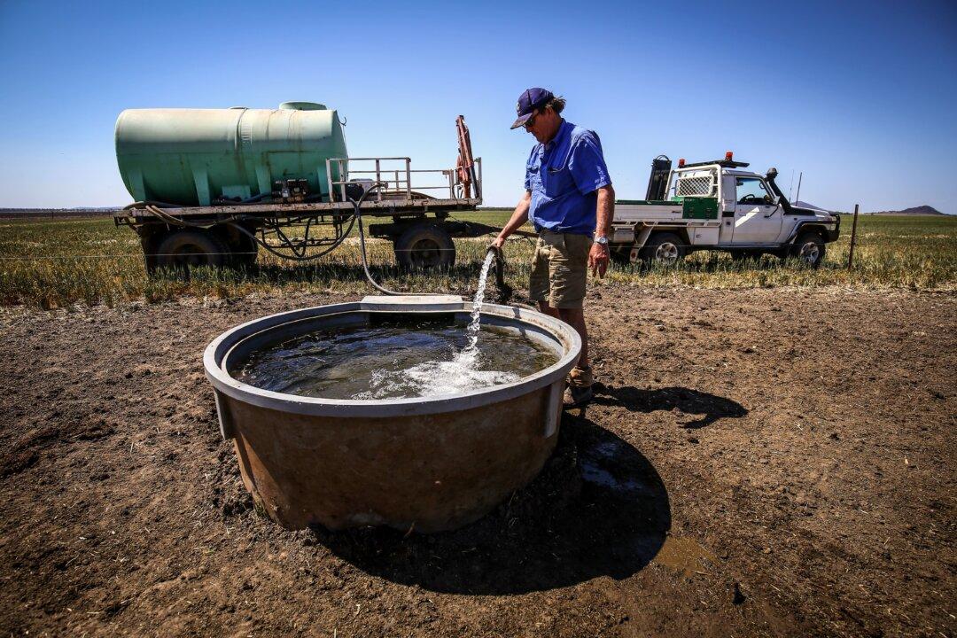 Farmers Struggling to Keep Up With ‘Constantly’ Changing Environmental Laws: Peak Body