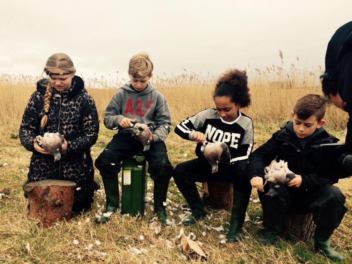 Pupils learning to pluck pigeons at Wise Rise Junior School in Eastbourne, England, in an undated file photo. (Courtesy of West Rise Junior School)