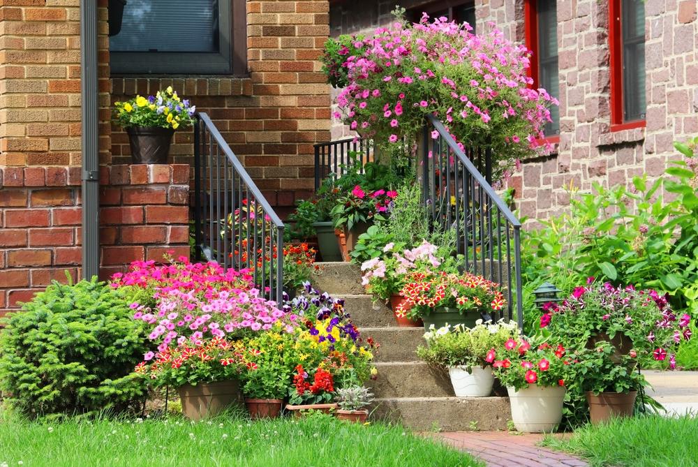 How to Create a Lush, Low-Maintenance Front Yard