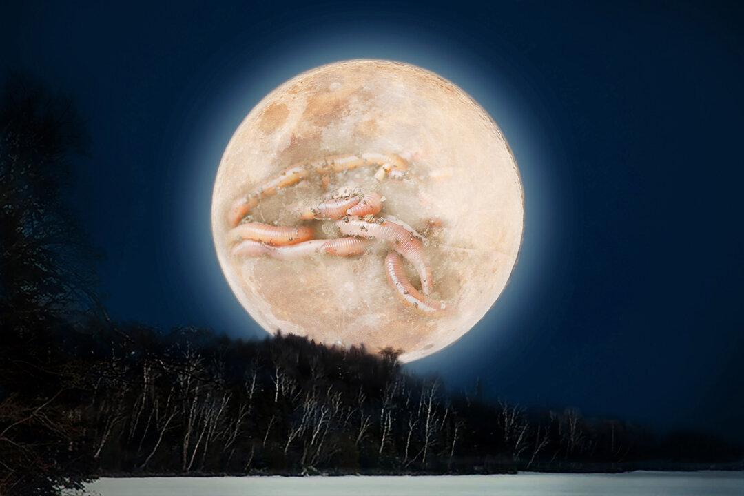 The First Full Moon of Spring Will Be the ‘Worm Moon’ With Eclipse—Here’s What You Need to Know