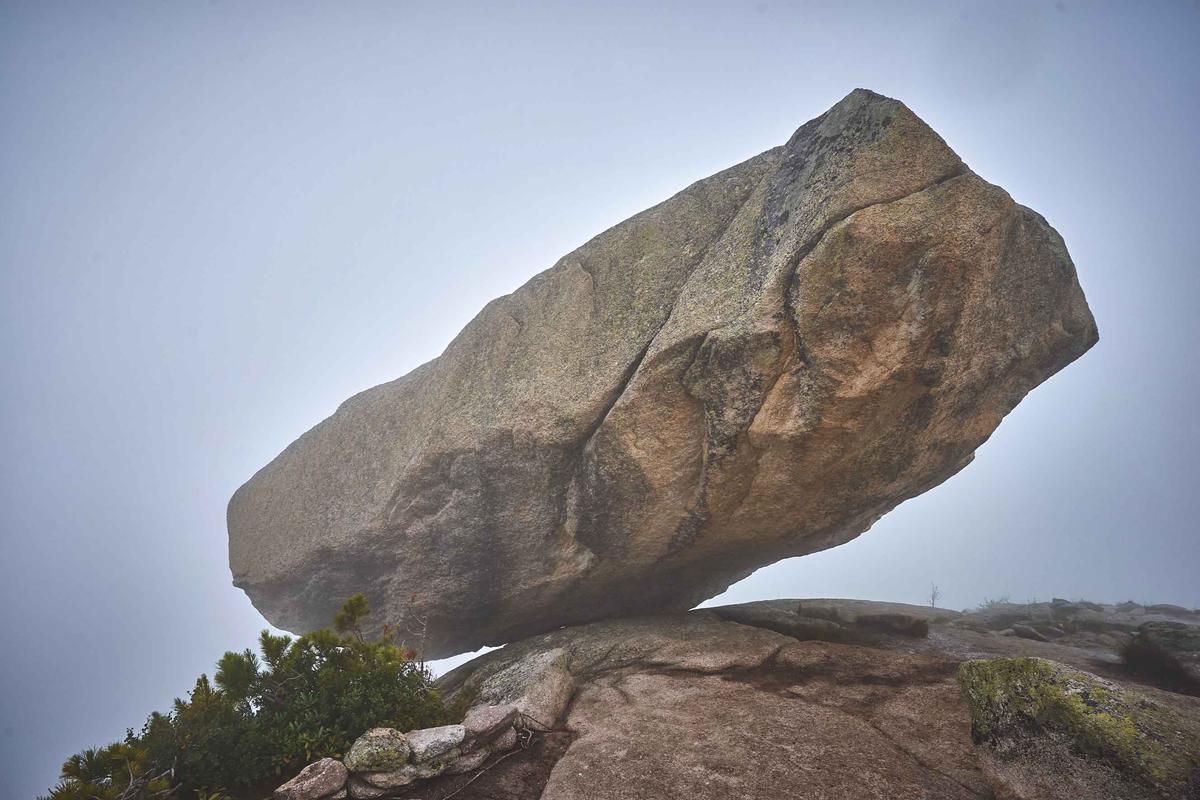 The rock hangs on for dear life. (Vladimir Zhoga/Shutterstock)