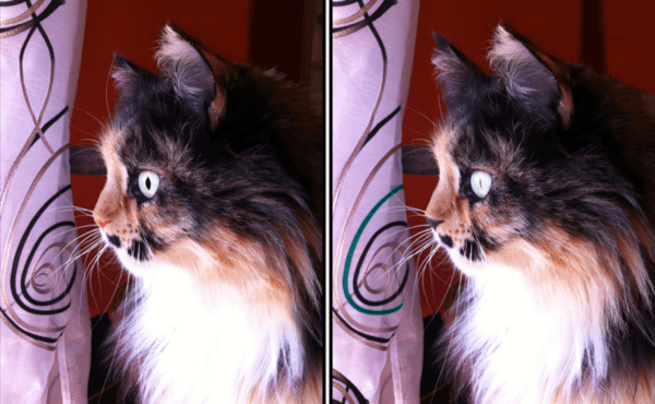 Spot the Difference Daily