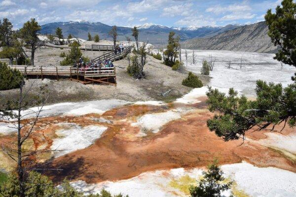 Children enjoy the view of the Mammoth Hot Springs at Yellowstone National Park on May 12, 2016. (Mladen Antonov/AFP via Getty Images)