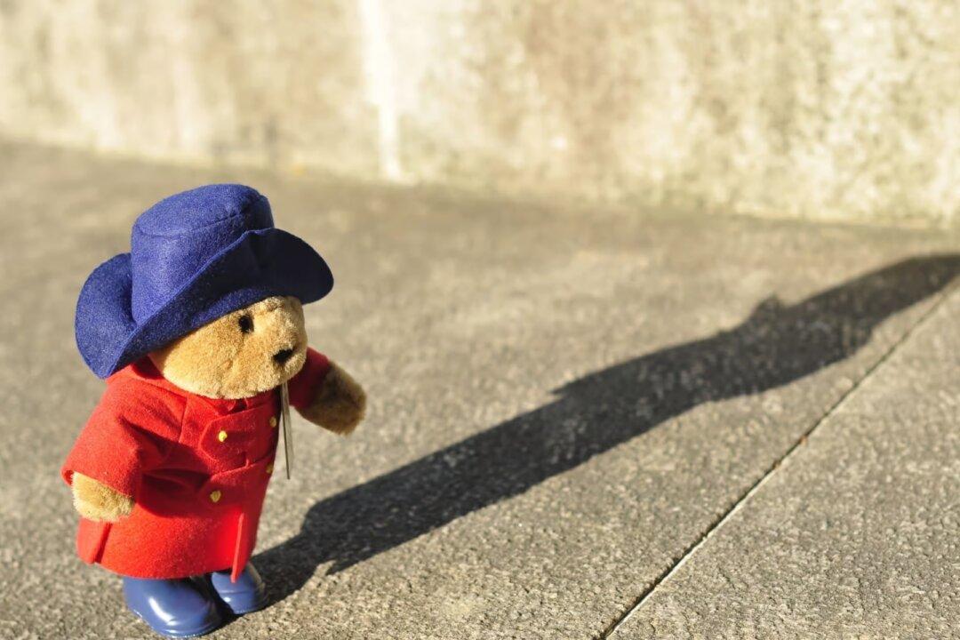 In Health Care, We Are Flying Blind