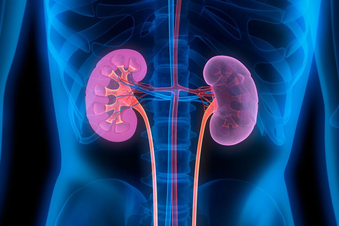 28 Types of Kidney Complications Reported Following COVID-19 Vaccination