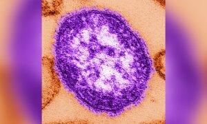 CDC Updates Measles Travel Advisory, Outbreaks Now in 46 Countries Outside of US