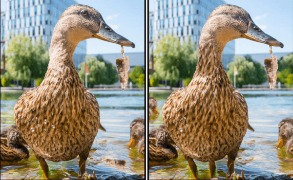 Spot the Difference Daily