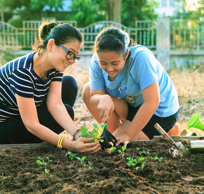 Ready, Set, Spring! The Best Garden Vegetables for an Early Start