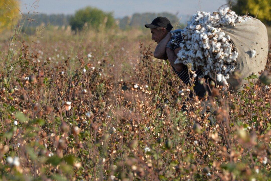 Forced Labour Crimes Increase 50 Percent in Australia