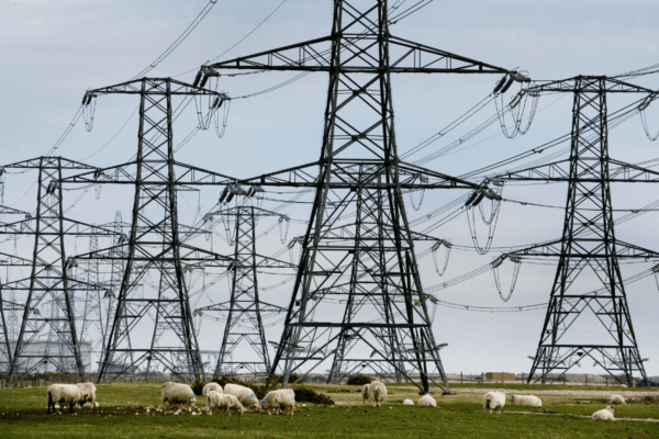 Overhead power cables from the Dungeness Nuclear Power Station stretching across the Kent countryside in England on March 26, 2008. (Gareth Fuller/PA Wire)