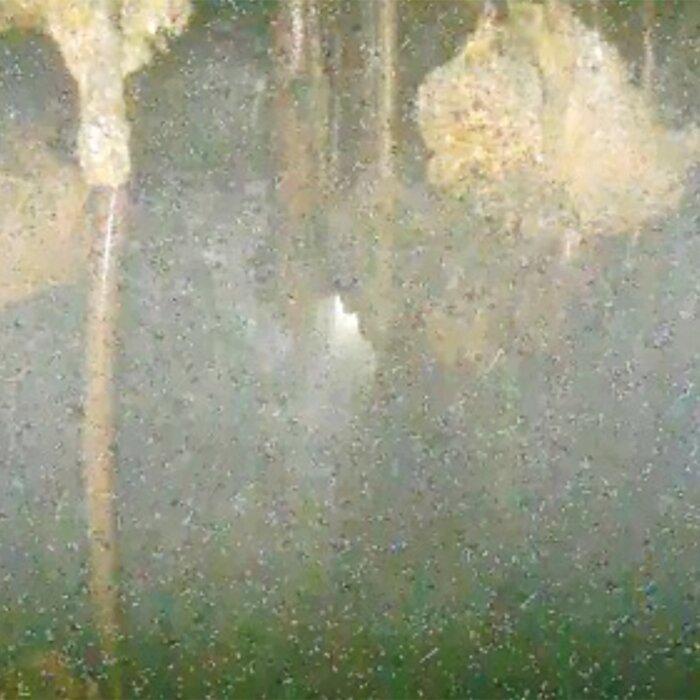 Images Taken Deep Inside Melted Fukushima Reactor Show Damage, but Leave Many Questions Unanswered