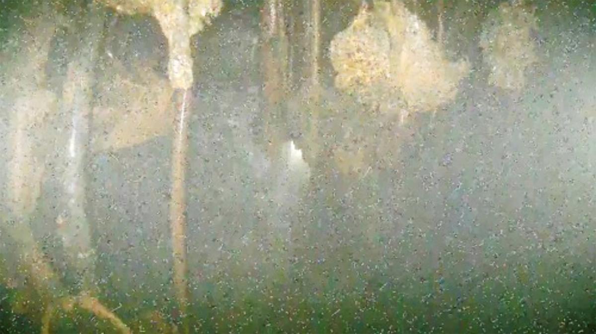 Images Taken Deep Inside Melted Fukushima Reactor Show Damage, but Leave Many Questions Unanswered