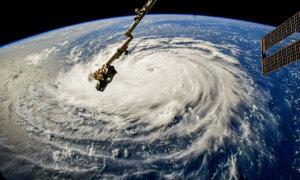 Hurricane Season Predictions Put Spotlight on Insurance Costs