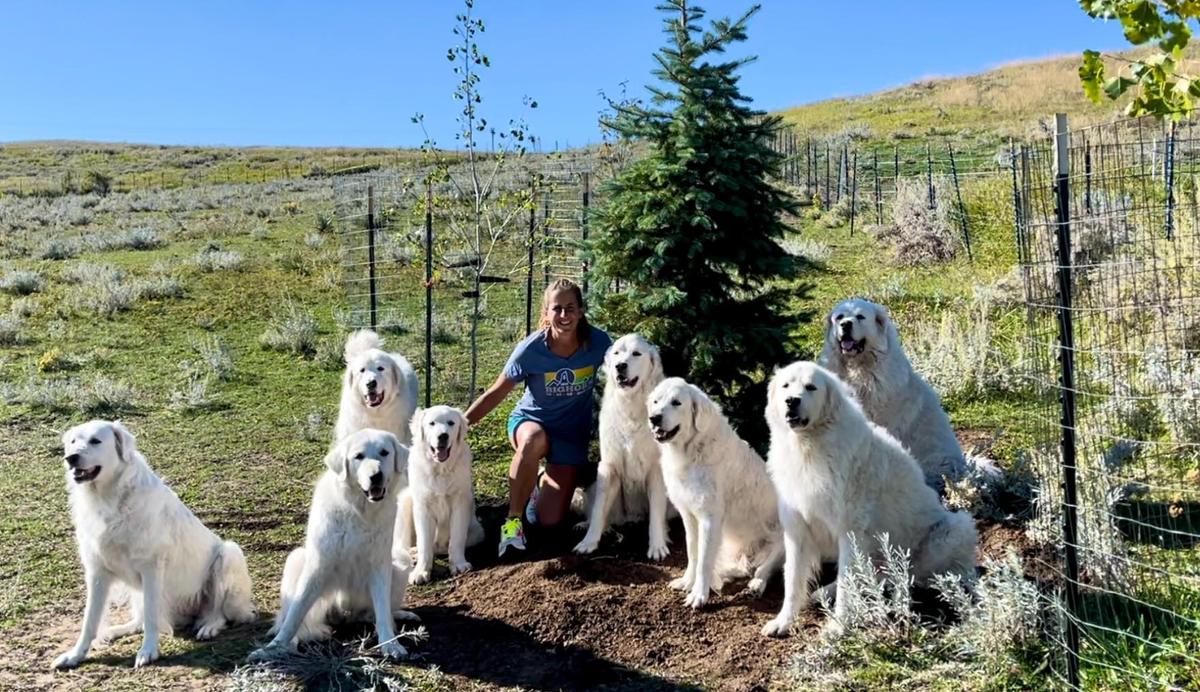 Ms. Eckendorf with her dogs: Tacoma, David, Goliath, Solomon, Samson, Ruthie, Esther, and Barnabas. (Courtesy of Mariann Eckendorf)