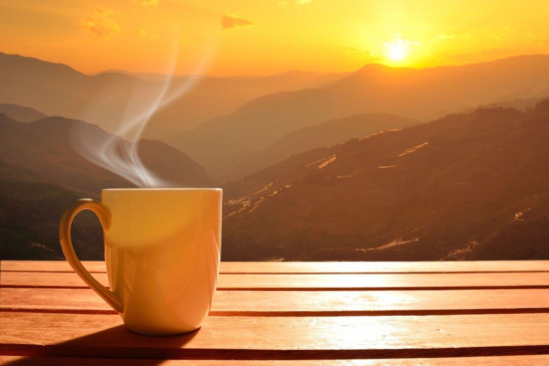 8 Ordinary Beauties to Enjoy Today