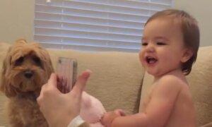 Babies Have Hilarious Video Chat With Each Other