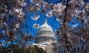 How Every House Member Voted on the $1.2 Trillion Government Funding Package