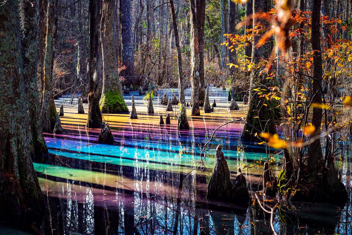 Stunningly Beautiful ‘Rainbow Pools’ in Virginia Are Totally Natural—Here’s How They Are Created