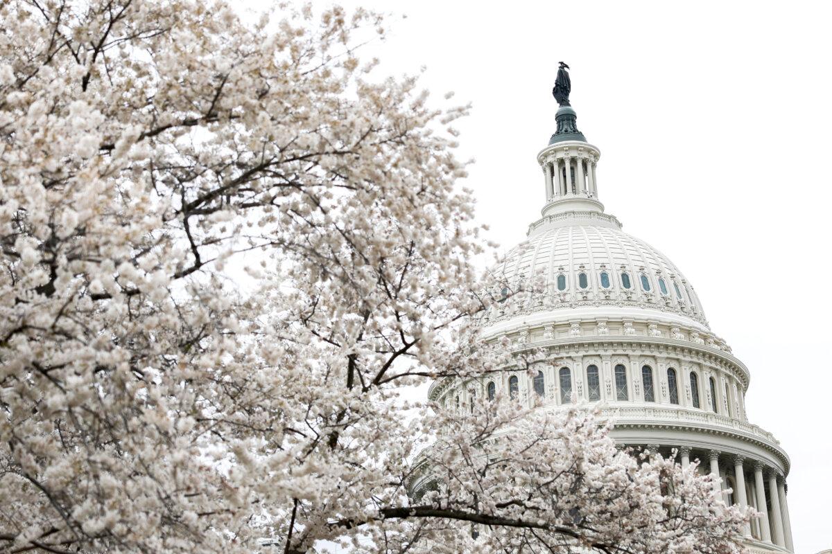 The dome of the U.S. Capitol in Washington on March 22, 2024. (Anna Moneymaker/Getty Images)