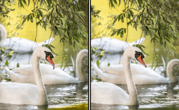 Spot the Difference Daily