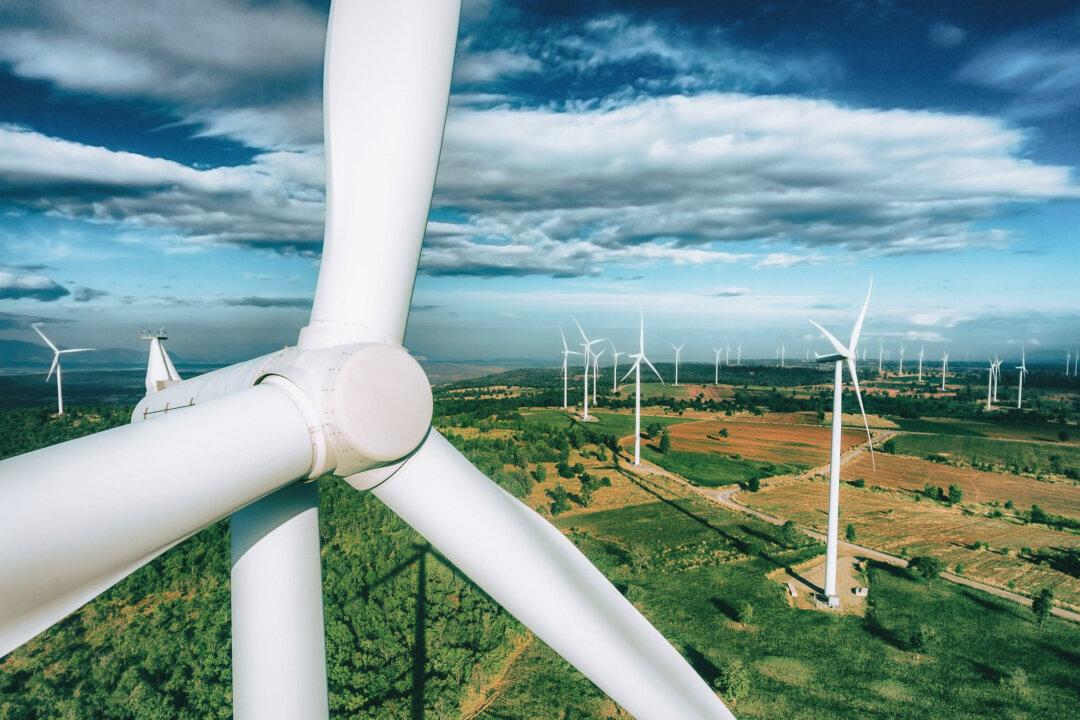 Infrasound From Wind Turbines Could Be ‘A Huge Threat to the Entire Biodiversity’: Doctor