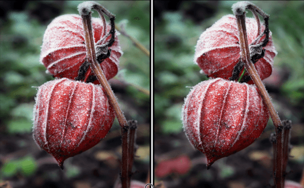 Spot the Difference Daily