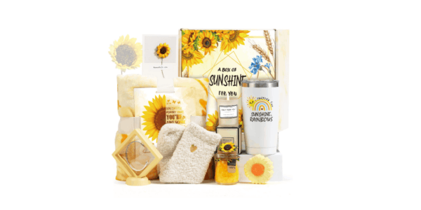 Mollywatr Sunshine Gift, Basket Care Package