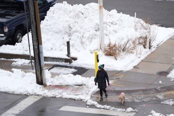 A pedestrian with a dog crosses the street near a large pile of snow, in Minneapolis on March 25, 2024. (Abbie Parr/AP Photo)