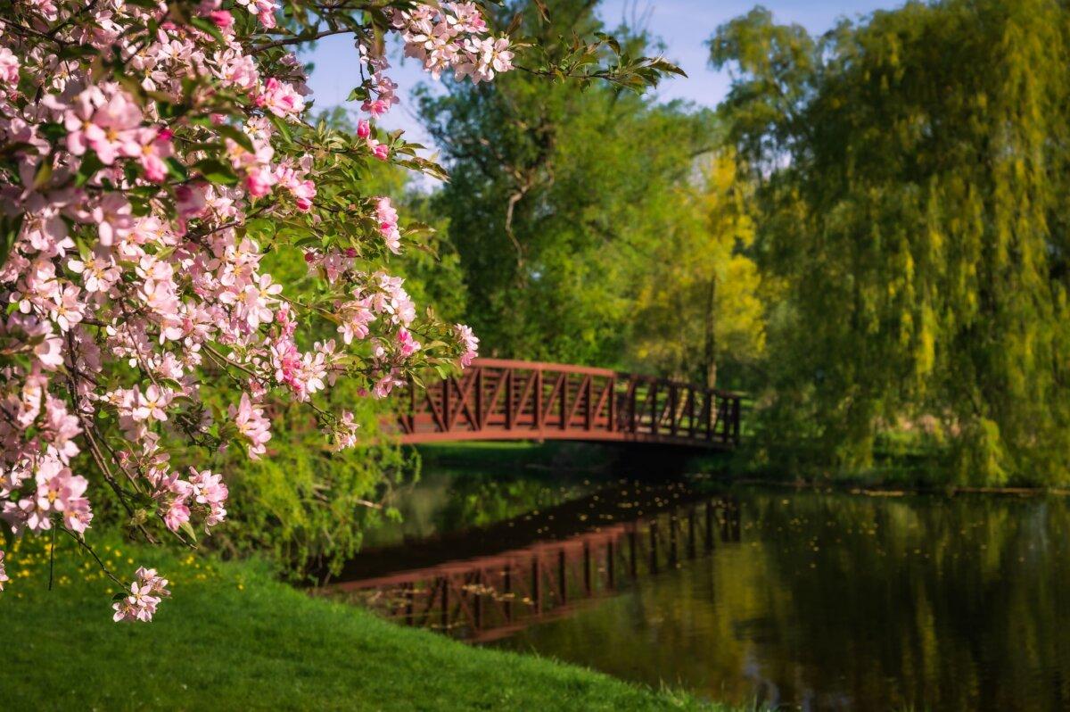 Spring blossoms at Dominion Arboretum in Ottawa, Ont., in a photo file. (Shutterstock/J Duquette)