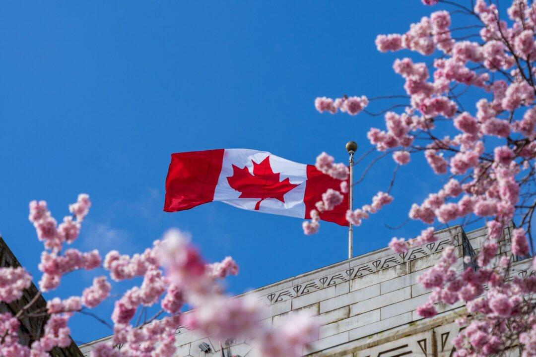 Best Locations in Canada to See Cherry Blossoms