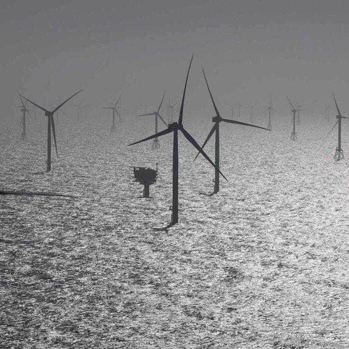 Victoria Greenlights 6 Projects for Australia’s First Offshore Wind Farms