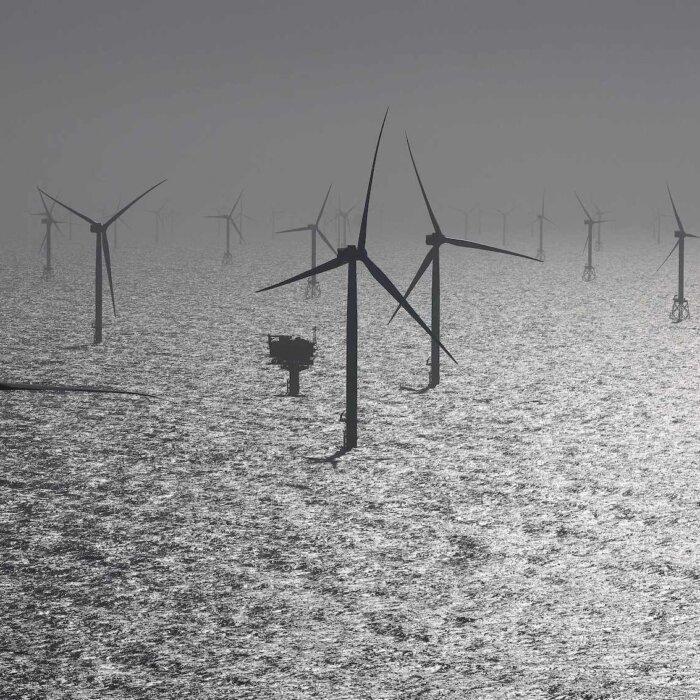 BOEM Denies Congressional Request to Extend Public Comment on Oregon Floating Offshore Wind Project