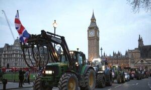 British Farmers Rally in London Against Government Neglect
