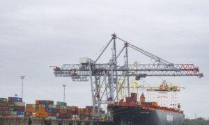 Border Agency Struggles to Intercept Stolen Vehicles at Port of Montreal Amid Staffing Shortage