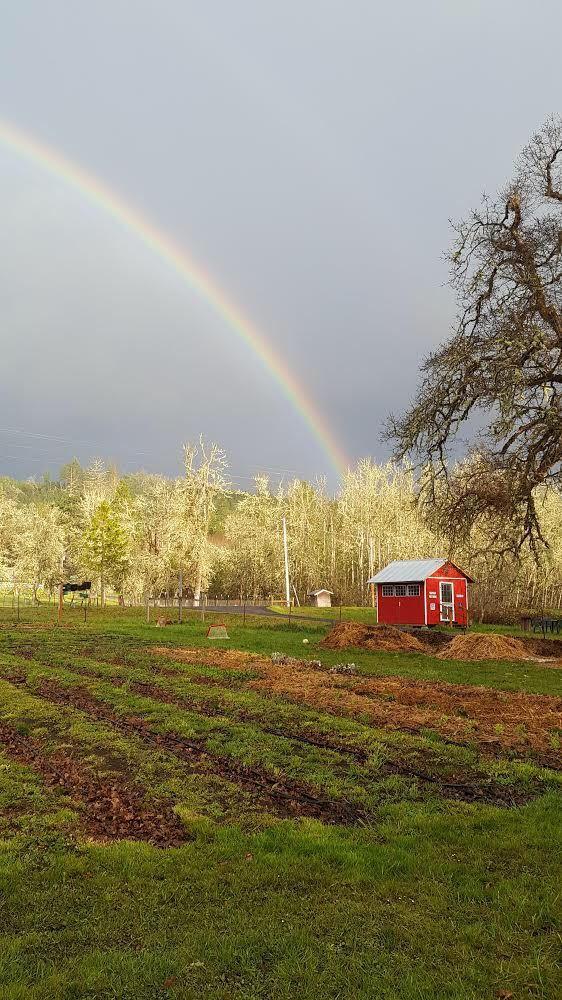 A rainbow arches toward the produce stand, situated on Oak Song Farm near Eugene, Oregon in an undated photo. (Courtesy of Christina Del Campo)