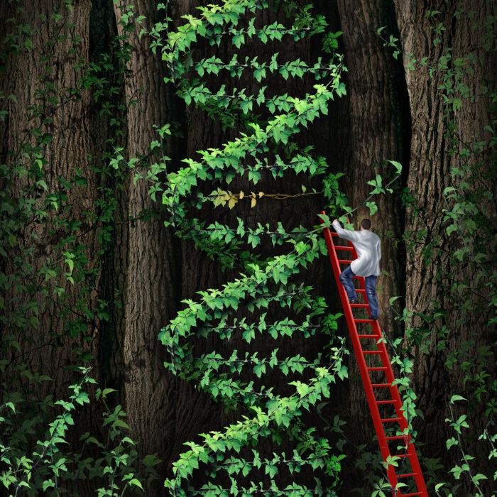 Surprising Ways to Heal Our DNA After COVID Injuries