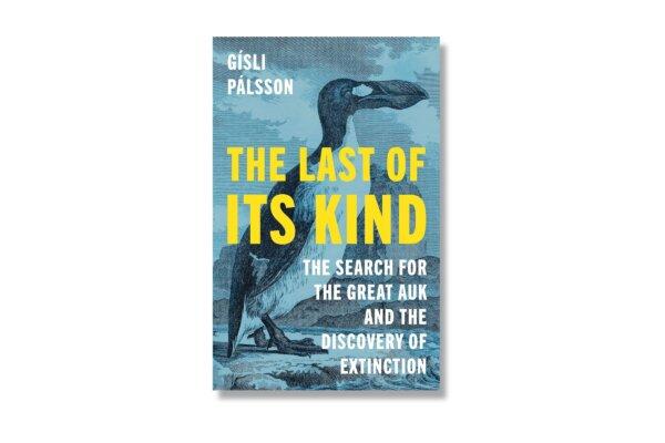 The Arctic Auk Quest: Extinction Puzzle Solved