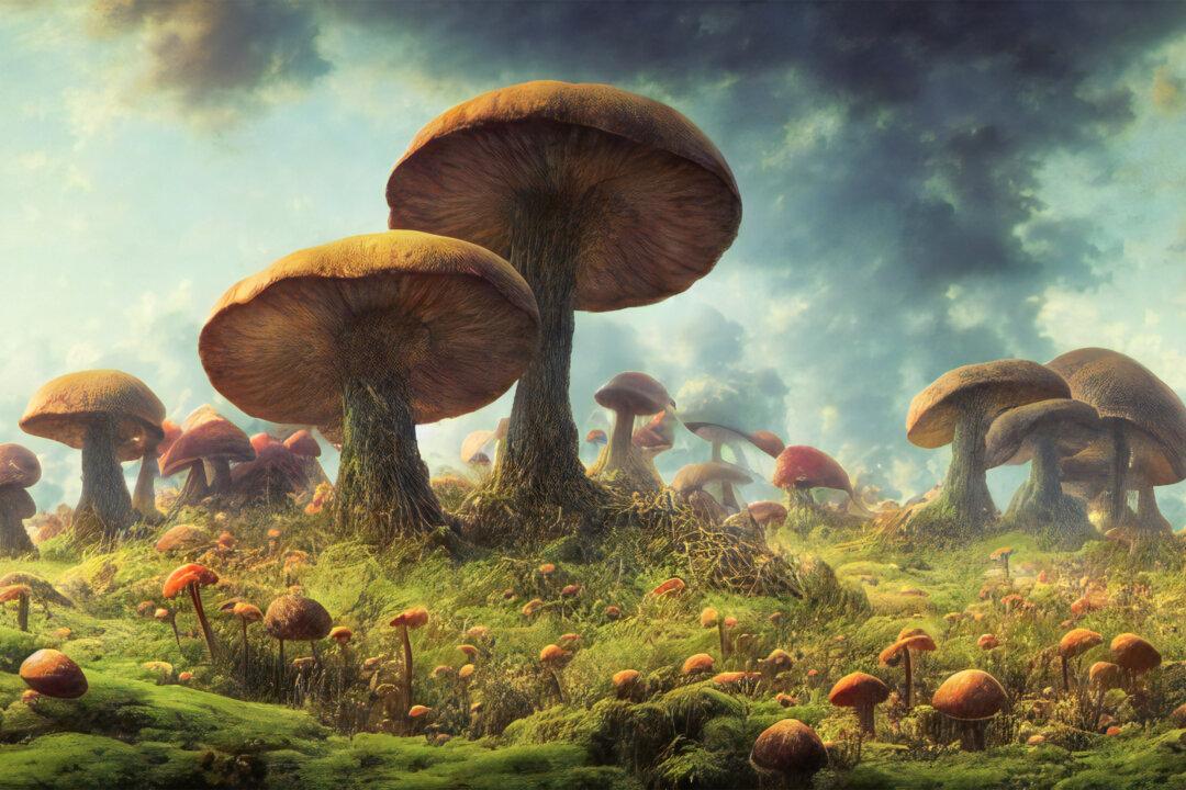 The Fungal Invasion We Should Welcome