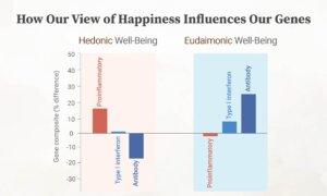 Why Polls Show Record Unhappiness in the US