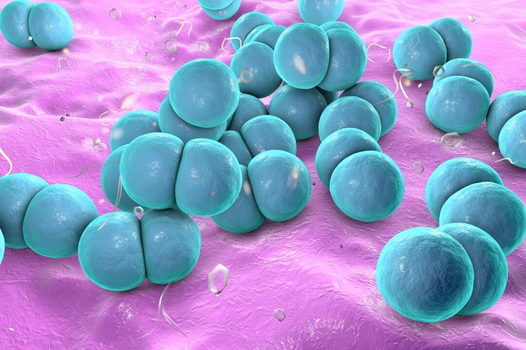 CDC Warns of Alarming Rise in Deadly Meningococcal Disease Cases