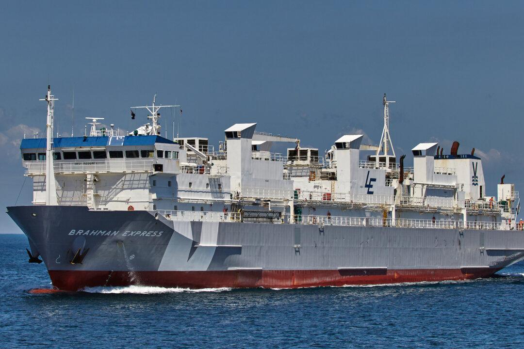 Cattle Test Negative After Suspected Botulism Deaths