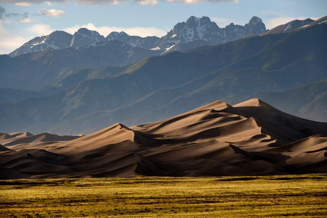 Sand Dunes National Park Officials Seek Solutions to Parking Problems, Visitation Spike