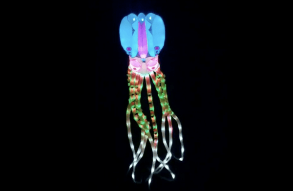 An LED octopus kite. (Courtesy of Tony Jetland)