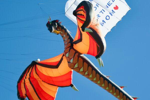 The “Kiteman of Martinez” kite and a dragon kite at the marina in Martinez, Calif. (Keegan Billings/The Epoch Times)