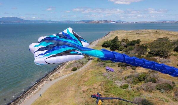Tony Jetland’s manta ray kite. (Courtesy of Mike Miller)