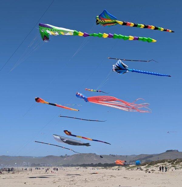 Aquatic-themed kites. (Courtesy of Tony Jetland)