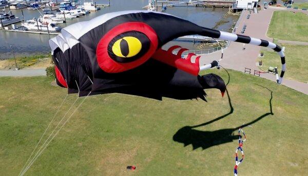 A screenshot of a large kite. (Courtesy of Mike Miller)