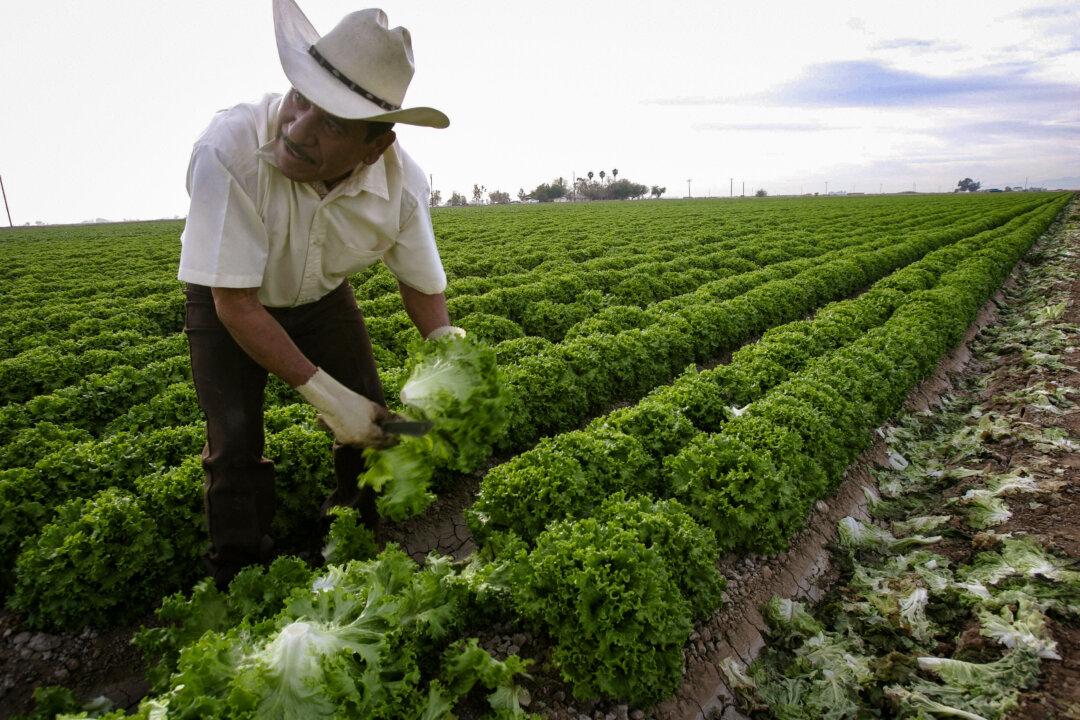 Tennessee Senate Passes Bill Targeting Vaccines in Food