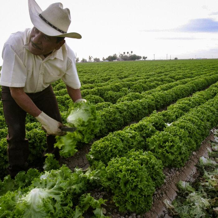 Tennessee Senate Passes Bill Targeting Vaccines in Food