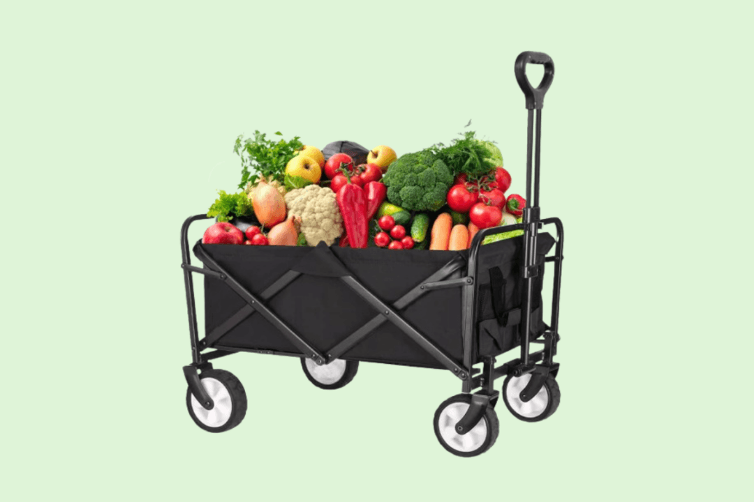 The Best Collapsible Wagons for All Purposes